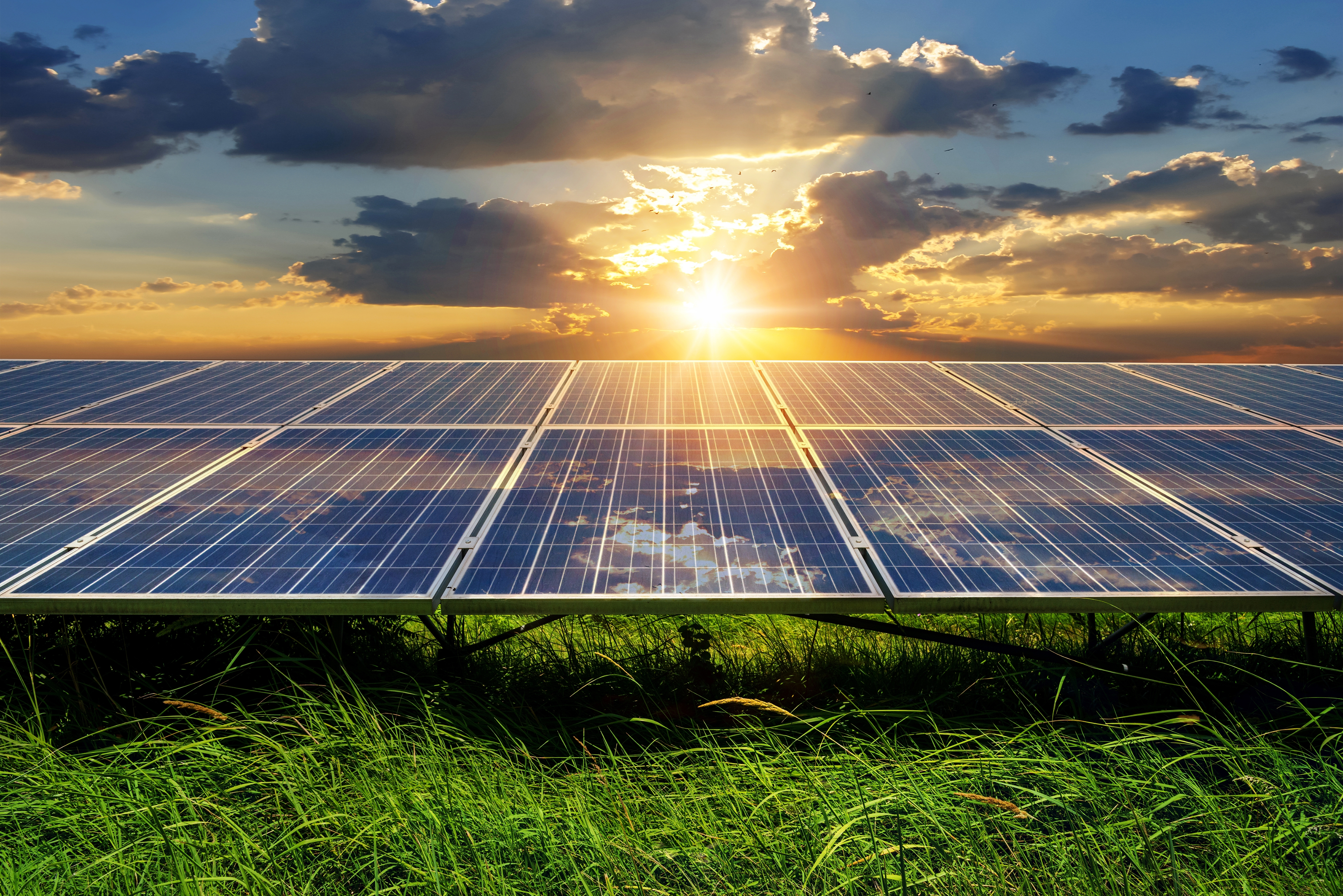 Solar panels on a grass with bright sun and sky in background.
