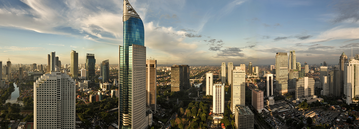 Indonesia Skyline