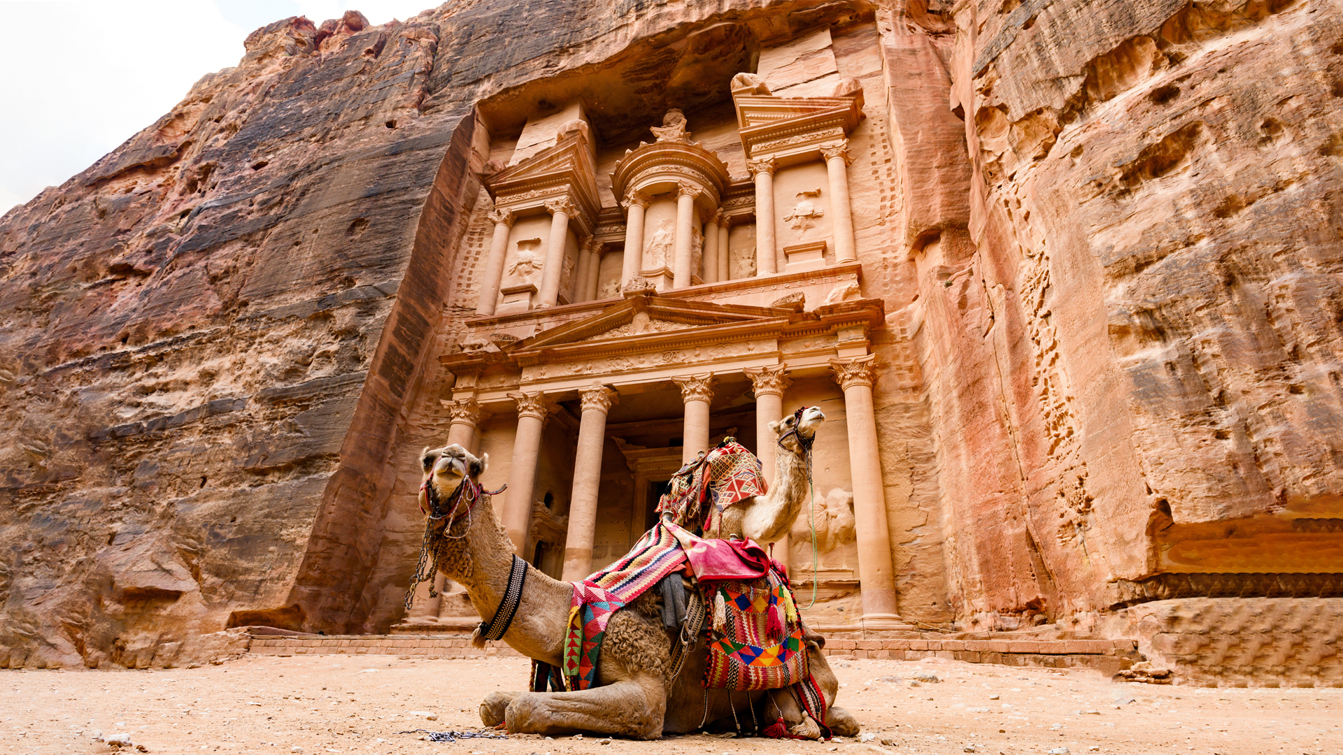 Spectacular view of two beautiful camels in front of Al Khazneh at Petra. Petra is a historical and archaeological city in southern Jordan