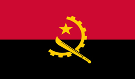 Angola flag vector image