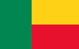 Benin flag vector image