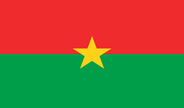 Burkina Faso flag vector image