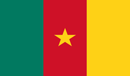 Cameroon flag vector image