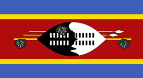 Flag of Swaziland Image
