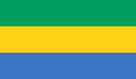 Gabon flag vector image