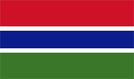 Gambia flag vector image