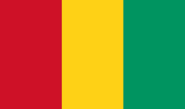 Guinea flag vector image