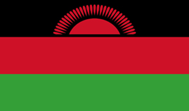 Malawi flag vector image