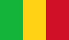 Mali flag vector image