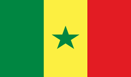 Senegal flag vector image