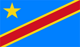 The Democratic Republic of the Congo Flag
