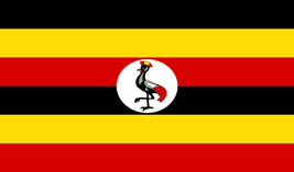 Uganda flag vector image