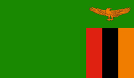 Zambia flag vector image