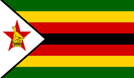 Zimbabwe flag vector image