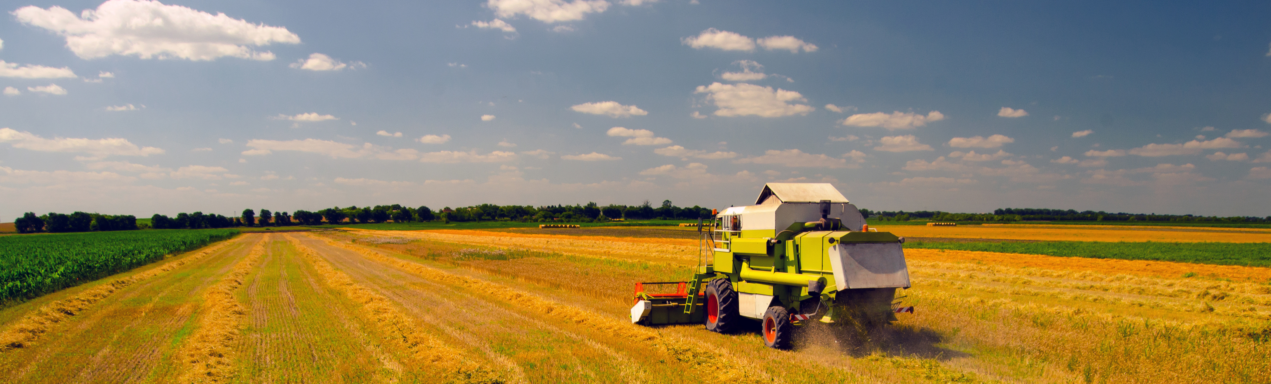 Combine Harvester