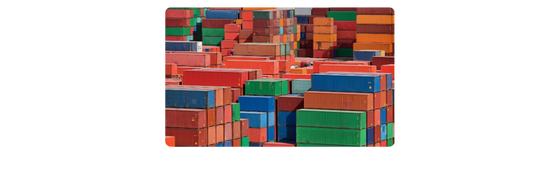 Export Solutions Home