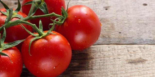 Tomatoes on the vine