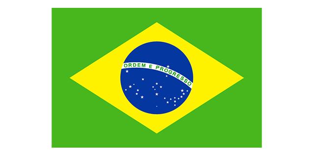 Brazilian Flag