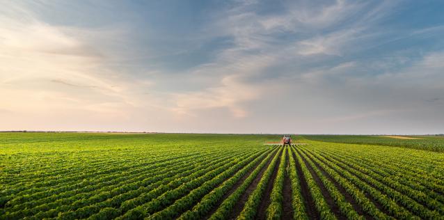 Tractor in Field
