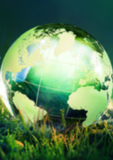 an image of a green globe